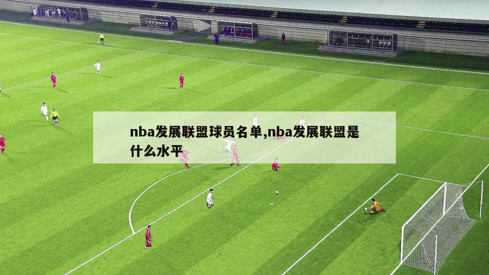nba发展联盟球员名单,nba发展联盟是什么水平