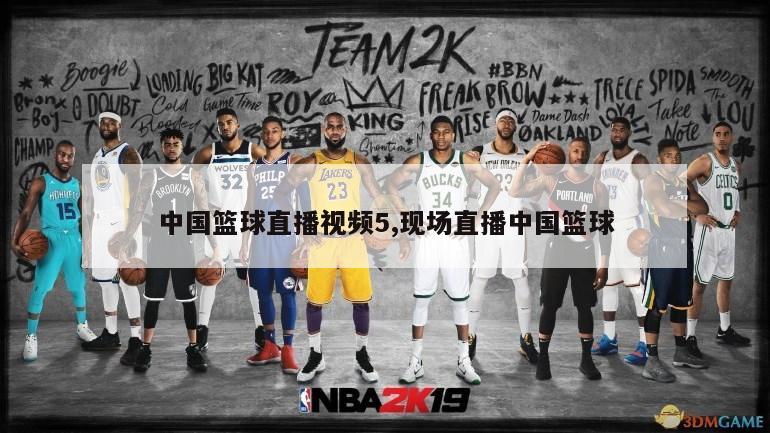 中国篮球直播视频5,现场直播中国篮球