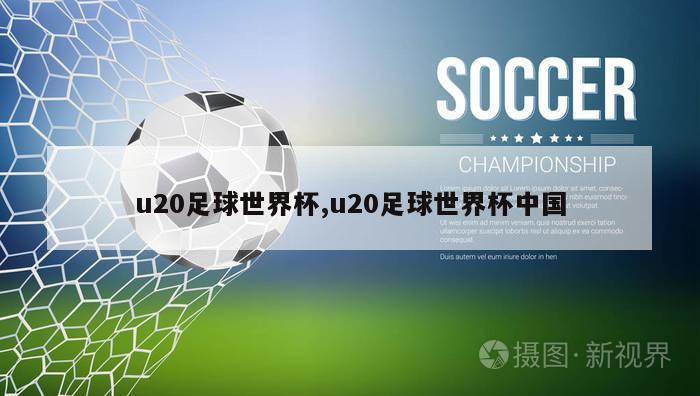 u20足球世界杯,u20足球世界杯中国