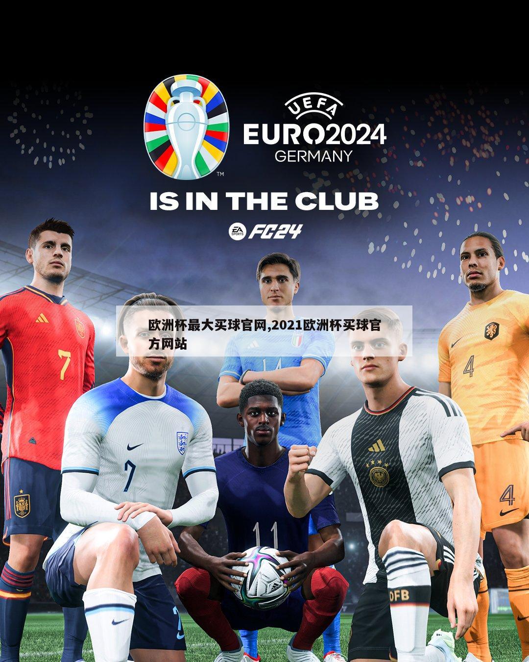 欧洲杯最大买球官网,2021欧洲杯买球官方网站